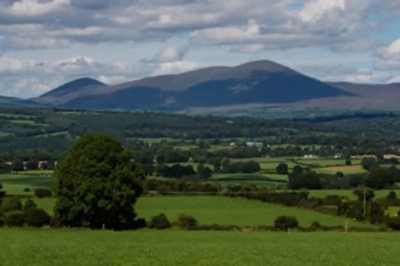Irish Rural Landscape