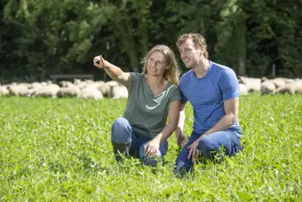 Farm Stories