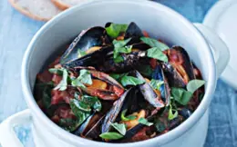 Mussels in Tomato and Spinach Sauce