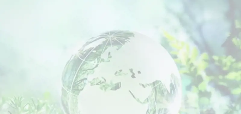 Globe in forest setting