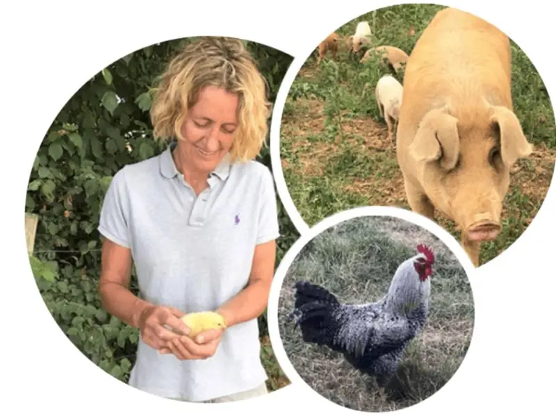 Promo photo for Regan Organic Farm