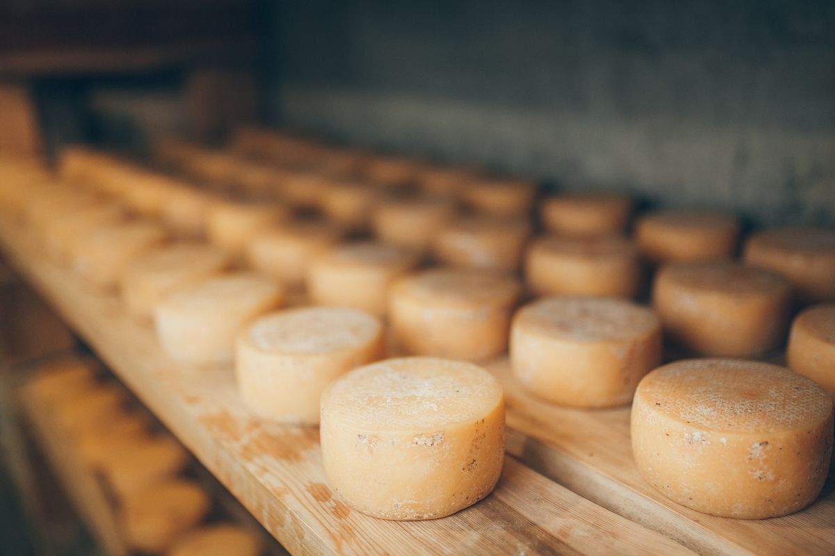 Craft of Cheesemaking