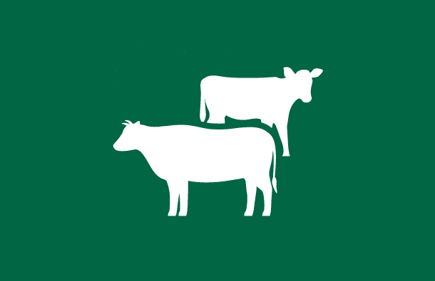 Beef Market Tracking