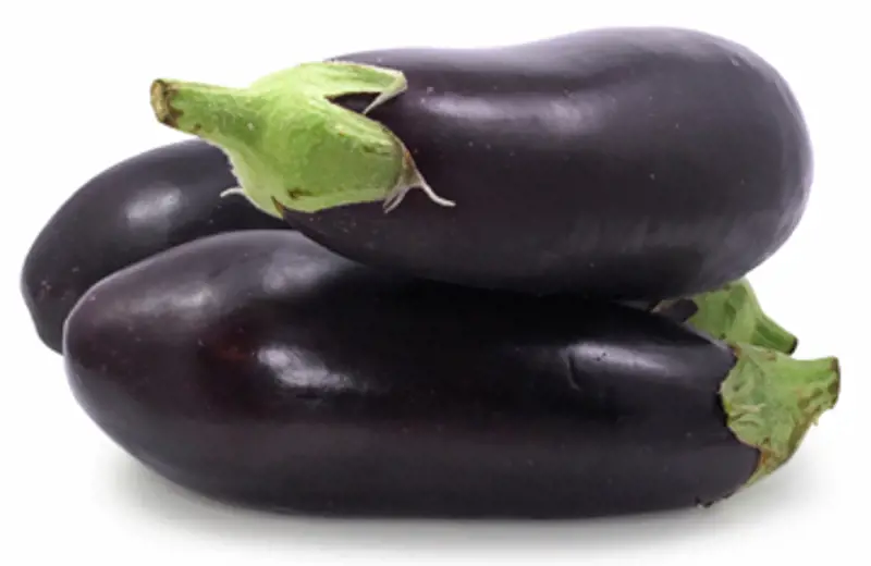 Aubergine