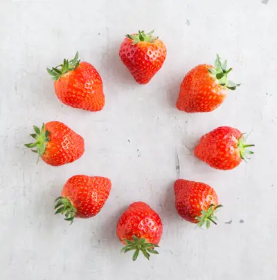 Fruit