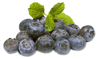 Blueberry