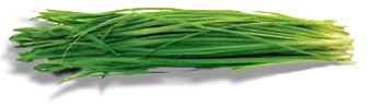 Chives