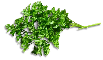Parsley