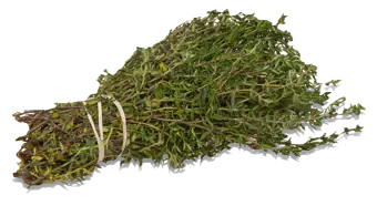 Thyme