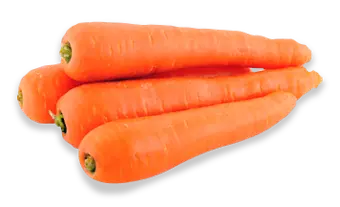 Carrot