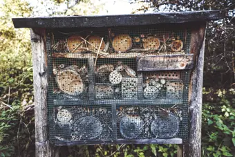 How To Make an Insect Hotel