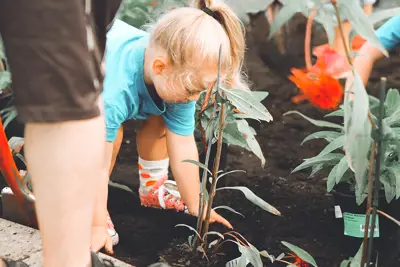 Seedlings Programme