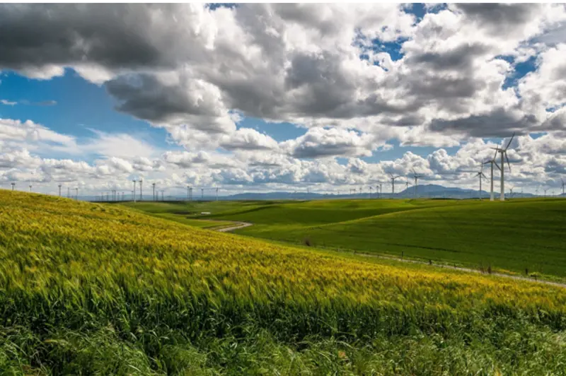 Farm image, featuring green fields and blue cloudy sky