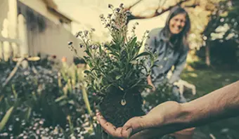 How to Make Eco-Friendly Tube Planters