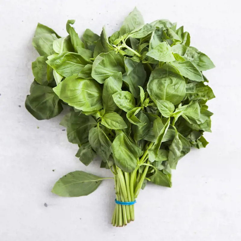 Basil